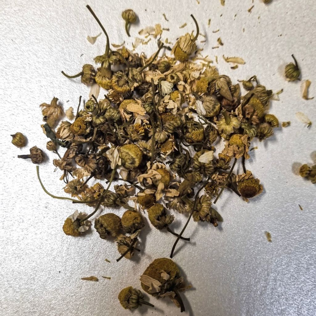 Organic Chamomile